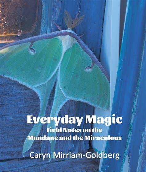 Seeking the Extraordinary: Finding Magic in the Ordinary